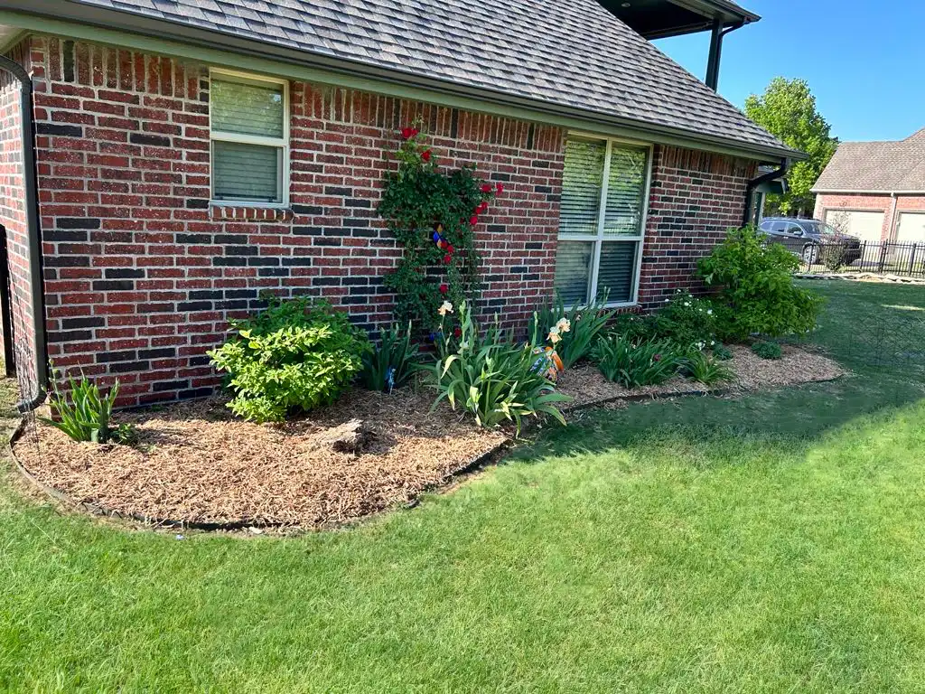 House with landscape design